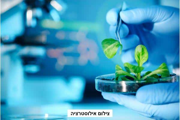 עבודתו של טכנולוג מזון