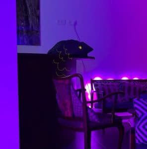 מתוך שושלת אופירה. צילום ערן שראל